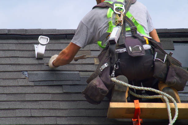 Best Roof Maintenance Services  in Lake Of The Woods, IL