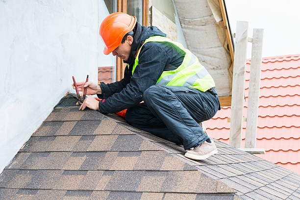 Best Roof Waterproofing Services  in Lake Of The Woods, IL