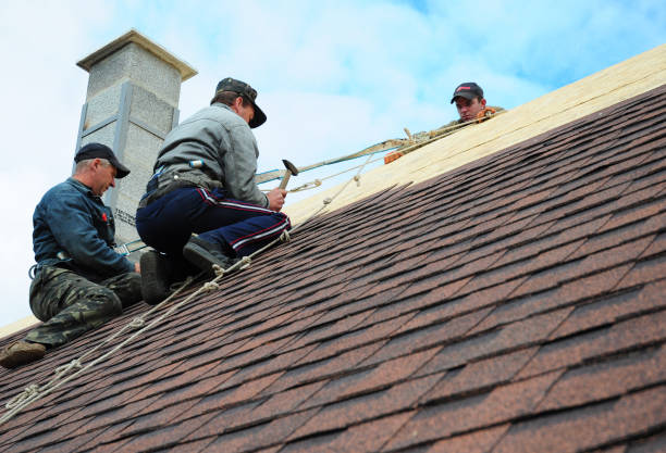 Best Metal Roofing Contractor  in Lake Of The Woods, IL