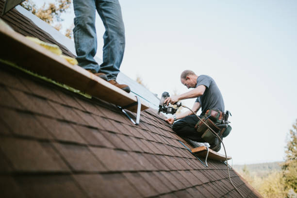 Best Shingle Roofing Installation  in Lake Of The Woods, IL
